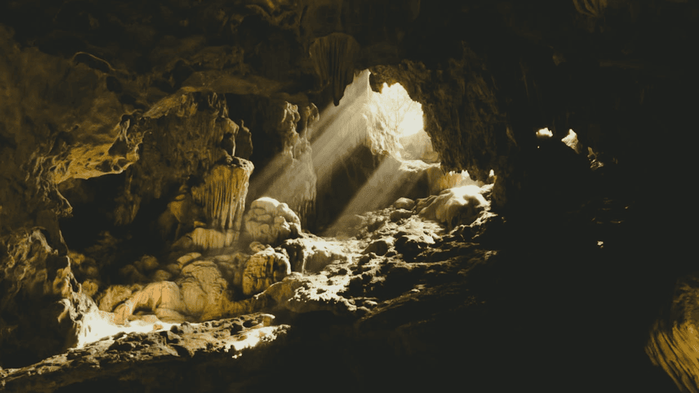 Son Doong cave is large enough to hold a Boeing aircraft or an entire New York City block (Source: Pexels)
